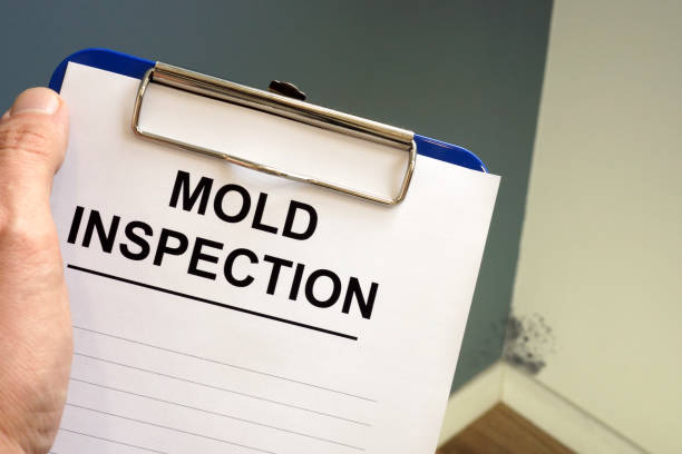 Best Biohazard Mold Removal  in Suncoast Estates, FL